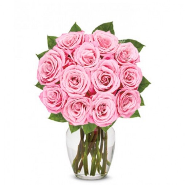One Dozen Light Pink Roses
